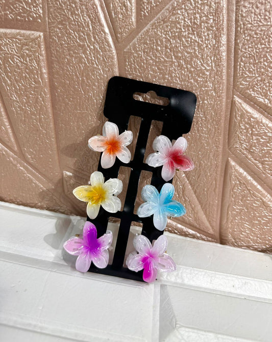 Cartón Caimán Flor X6 Pequeños
